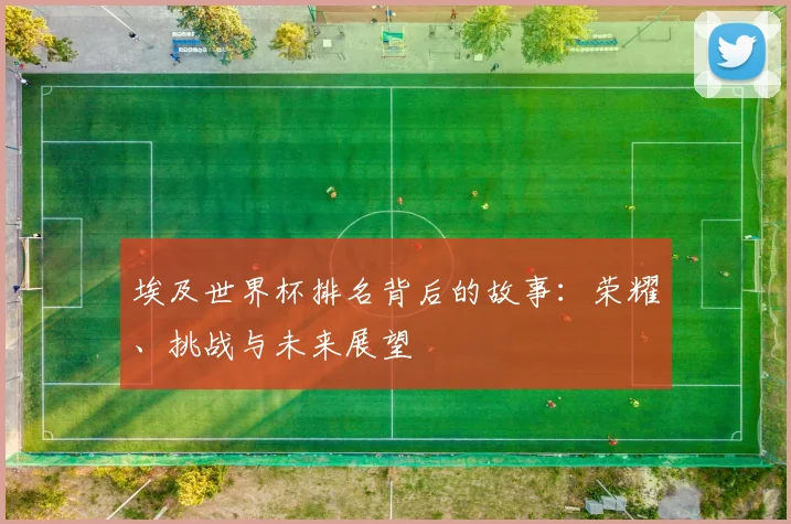 埃及世界杯排名背后的故事：荣耀、挑战与未来展望